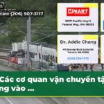 Các cơ quan vận chuyển tập trung vào …
