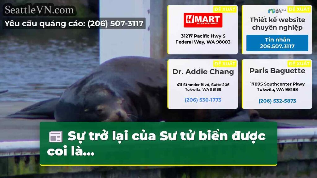 Sự trở lại của Sư tử biển được coi là...