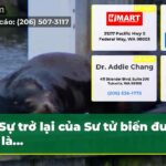 Sự trở lại của Sư tử biển được coi là…