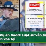 Vụ án Gadd Luật sư vẫn tìm cách xóa tội