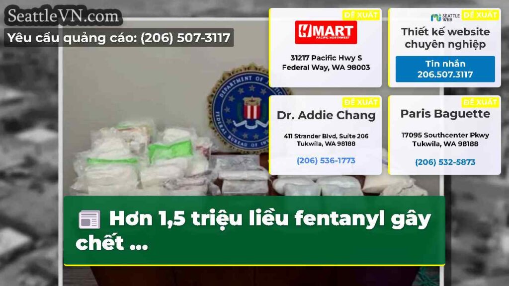 Hơn 1,5 triệu liều fentanyl gây chết ...