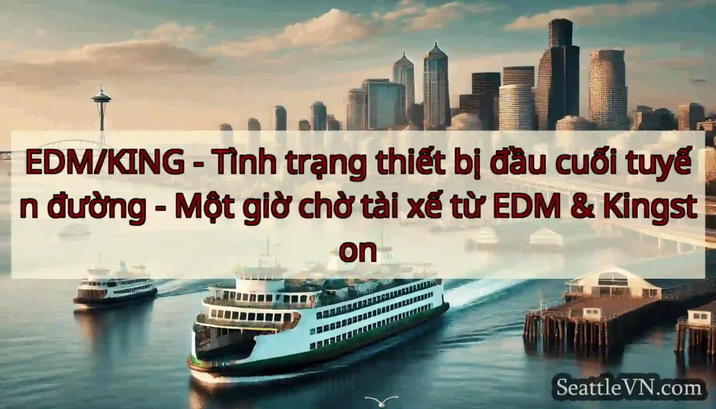 EDM/KING - Tình trạng thiết bị đầu cuối tuyến
