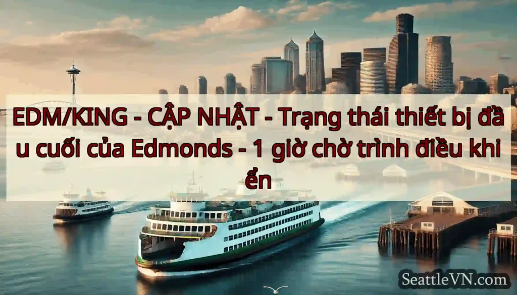 EDM/KING - CẬP NHẬT - Trạng thái thiết bị đầu