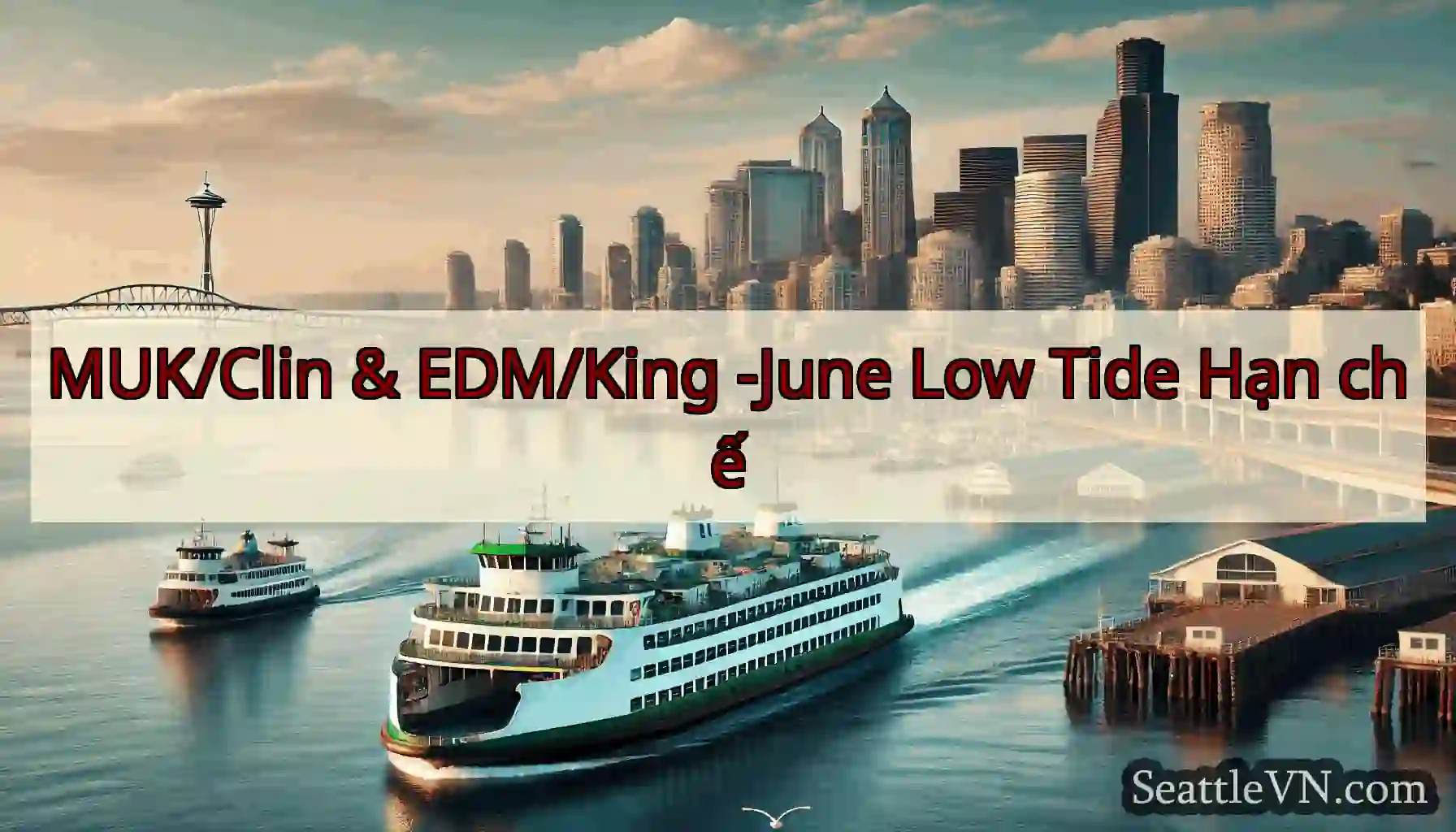 MUK/Clin & EDM/King -June Low Tide Hạn chế