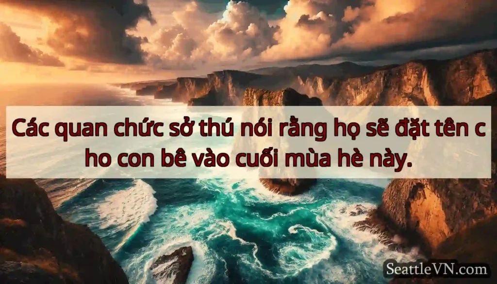 Các quan chức sở thú nói rằng họ sẽ đặt tên cho