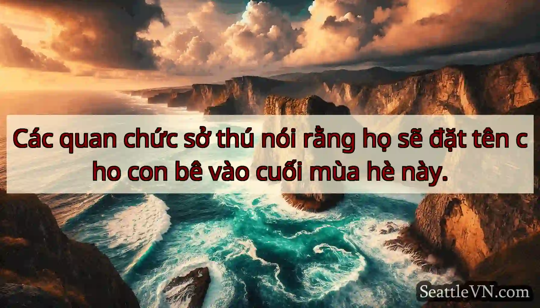 Các quan chức sở thú nói rằng họ sẽ đặt tên cho