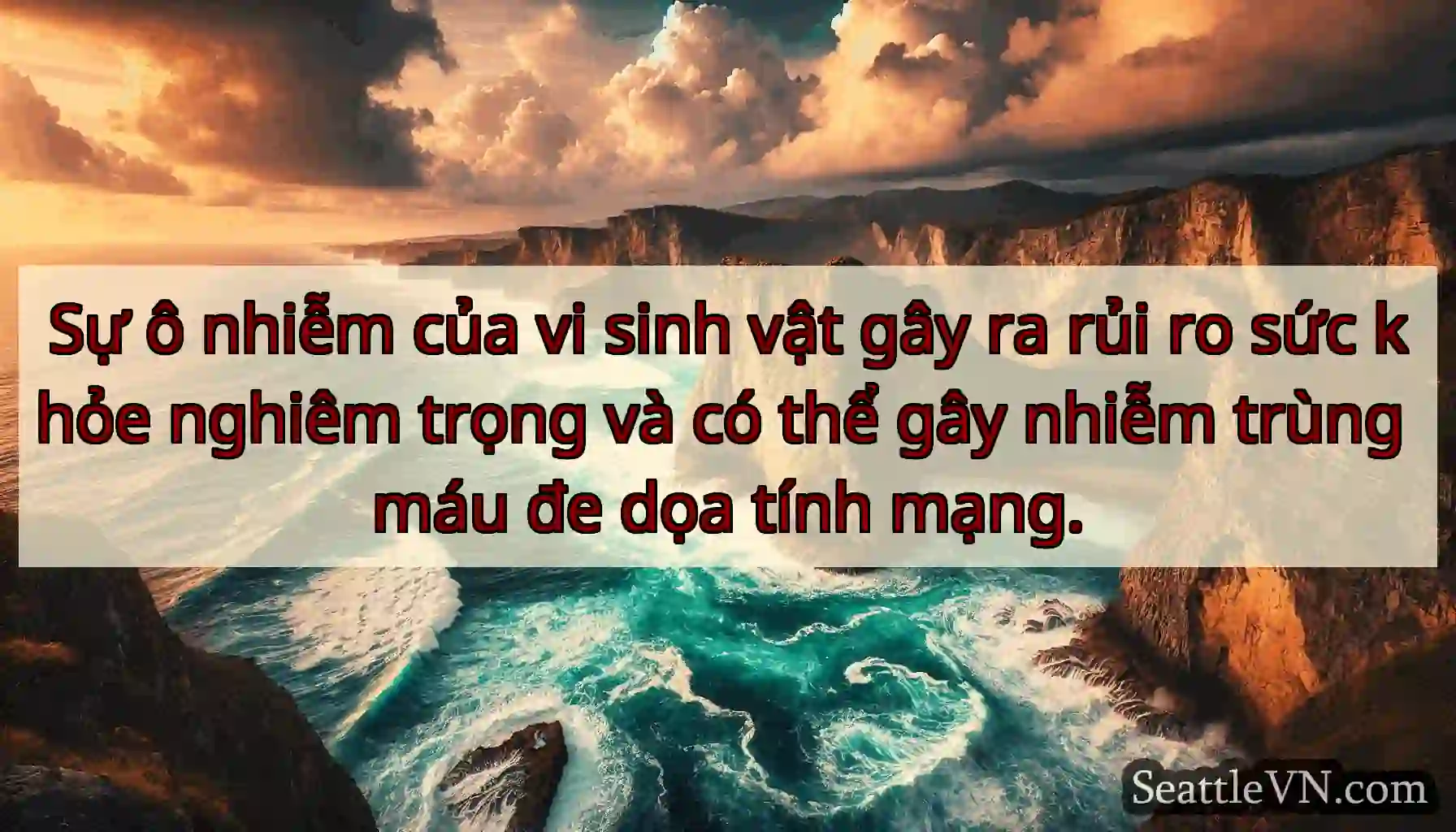 Sự ô nhiễm của vi sinh vật gây ra rủi ro sức khỏe