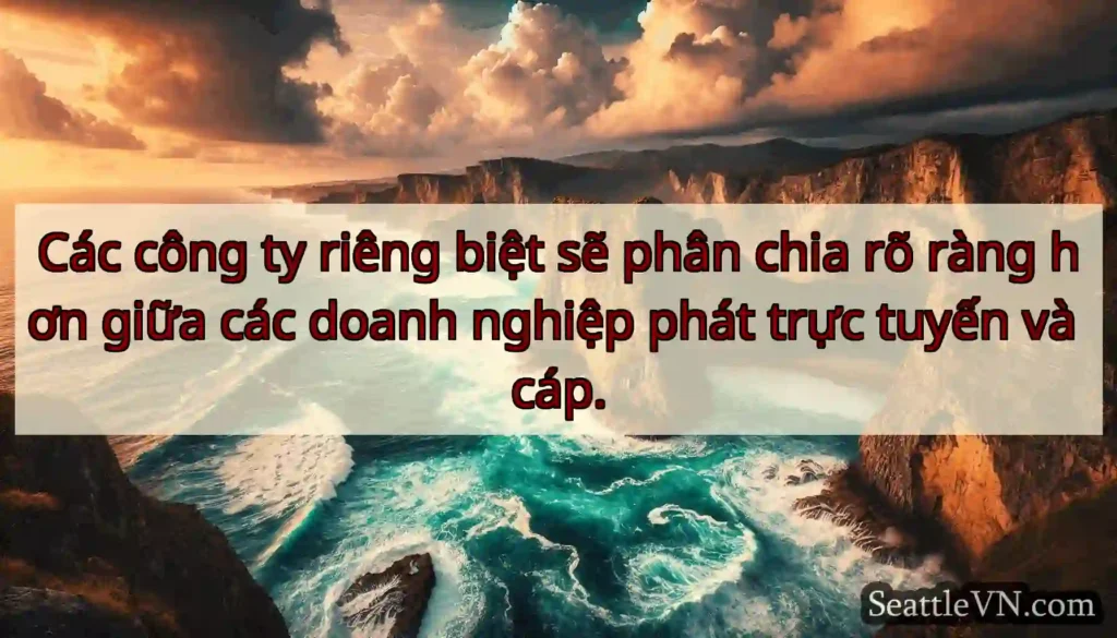 Các công ty riêng biệt sẽ phân chia rõ ràng hơn