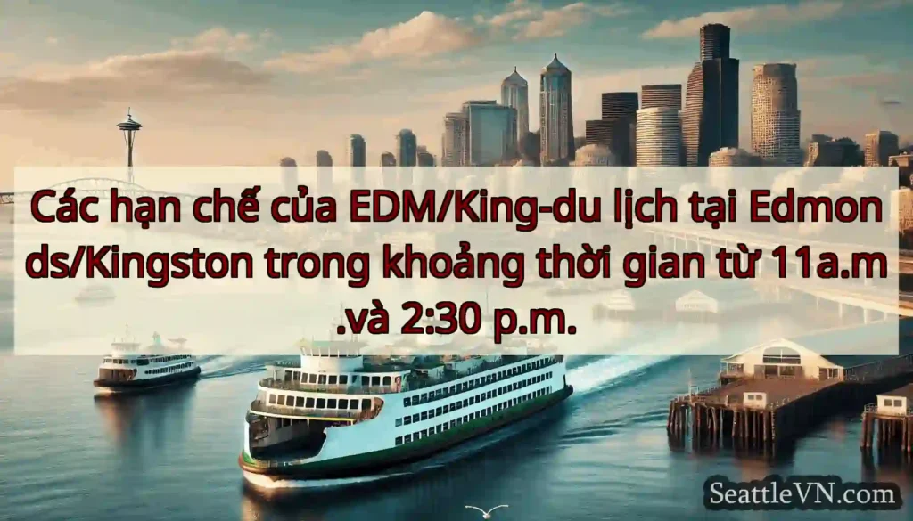 Các hạn chế của EDM/King-du lịch tại