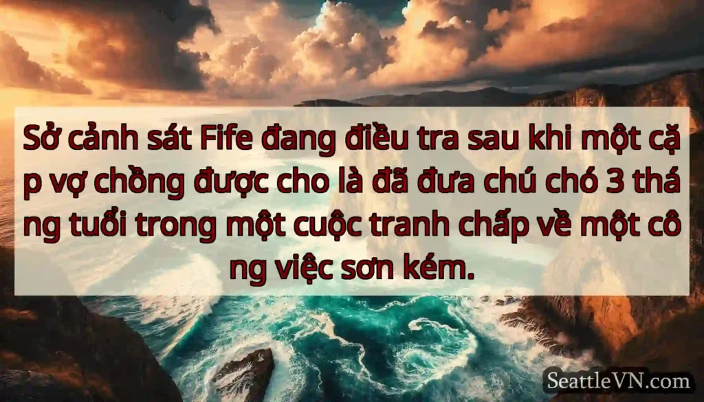 Sở cảnh sát Fife đang điều tra sau khi một cặp vợ