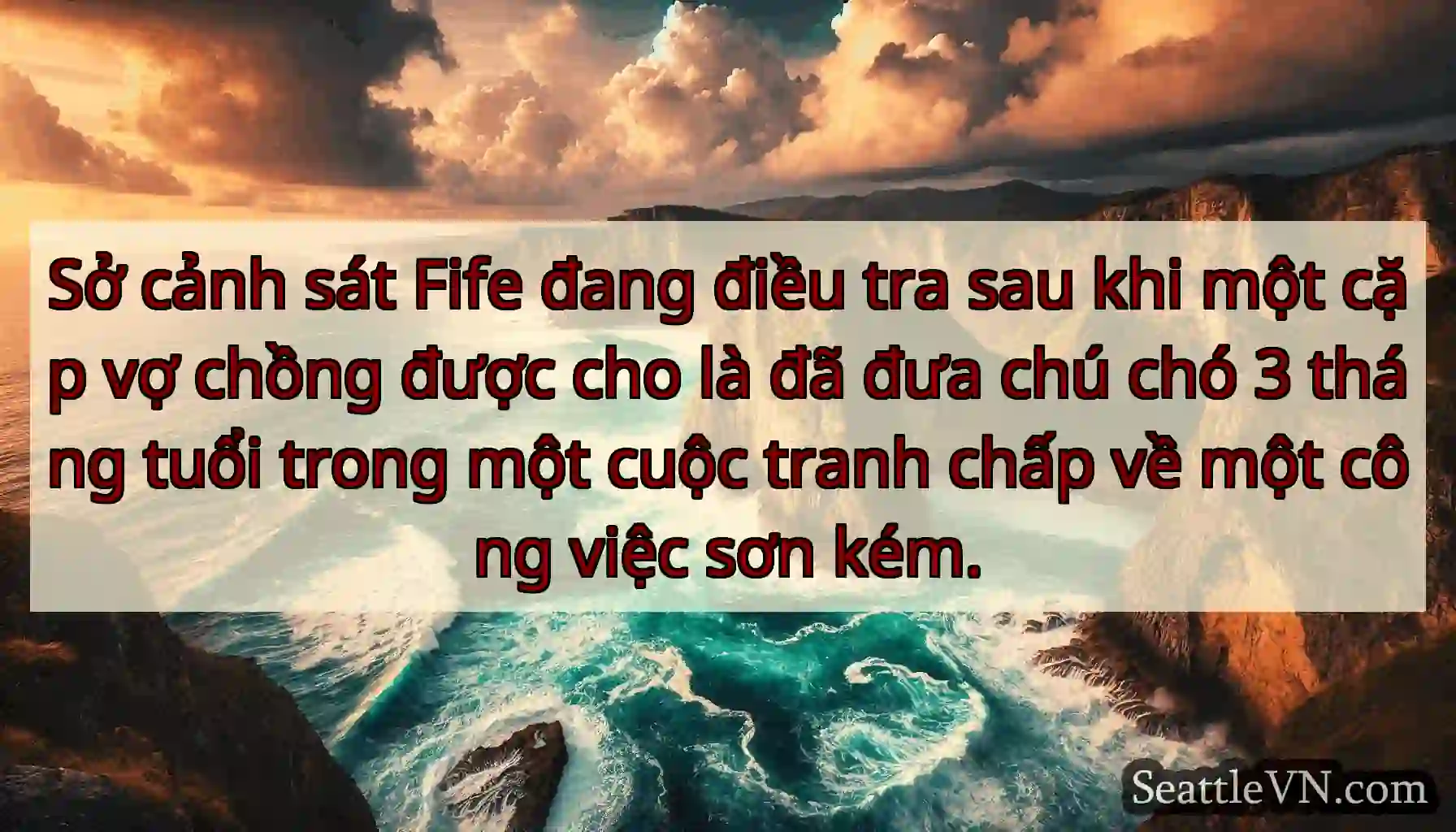 Sở cảnh sát Fife đang điều tra sau khi một cặp vợ