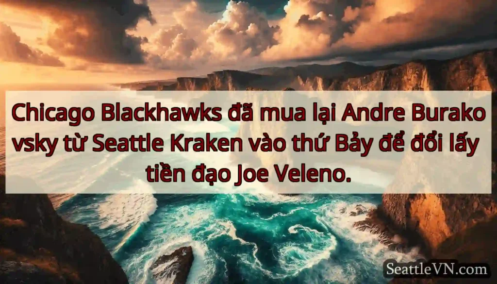 Chicago Blackhawks đã mua lại Andre Burakovsky từ