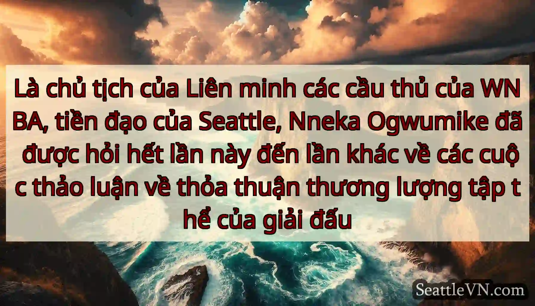 Là chủ tịch của Liên minh các cầu thủ của WNBA,