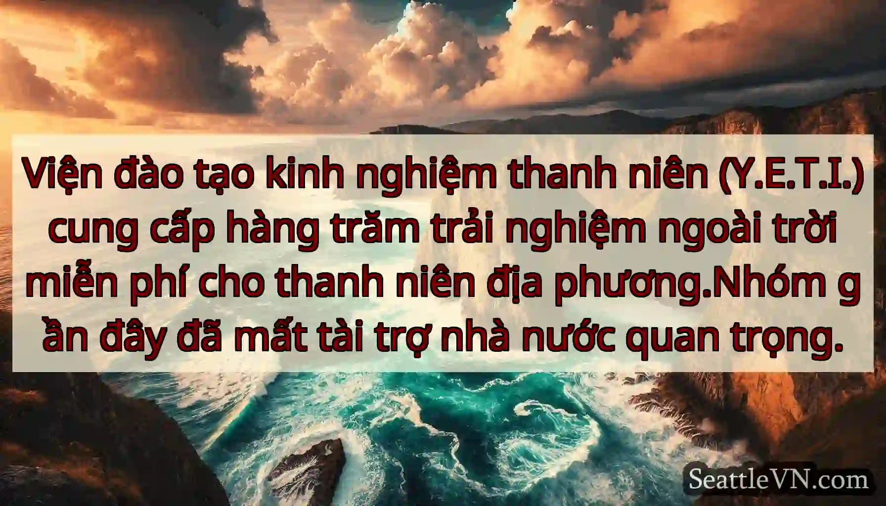Viện đào tạo kinh nghiệm thanh niên (Y.E.T.I.)