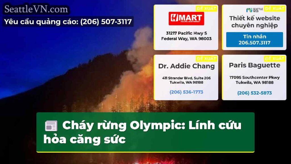 Cháy rừng Olympic: Lính cứu hỏa căng sức
