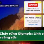 Cháy rừng Olympic Lính cứu hỏa căng sức