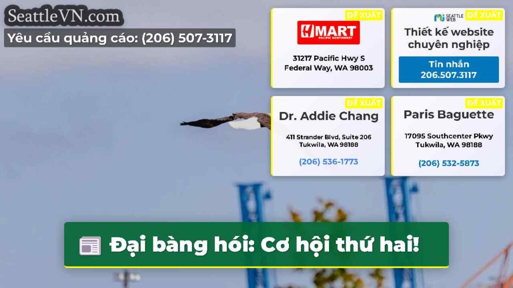 Đại bàng hói: Cơ hội thứ hai!