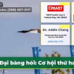 Đại bàng hói Cơ hội thứ hai!