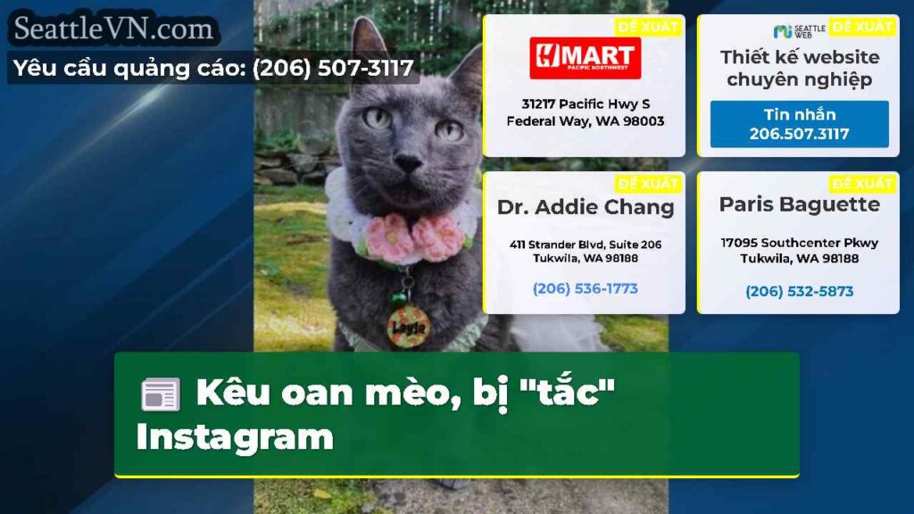 Kêu oan mèo, bị "tắc" Instagram
