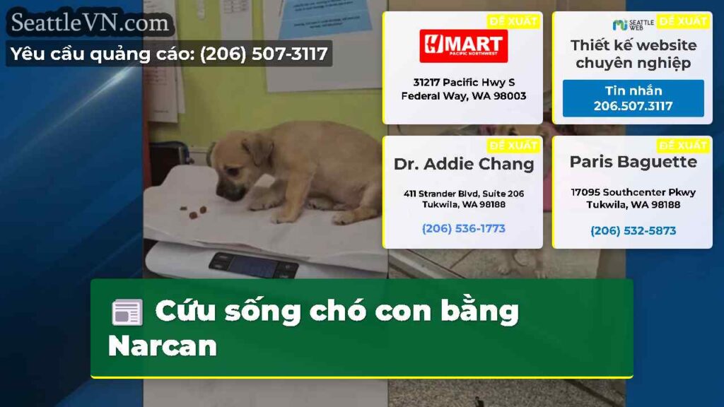 Cứu sống chó con bằng Narcan