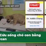 Cứu sống chó con bằng Narcan