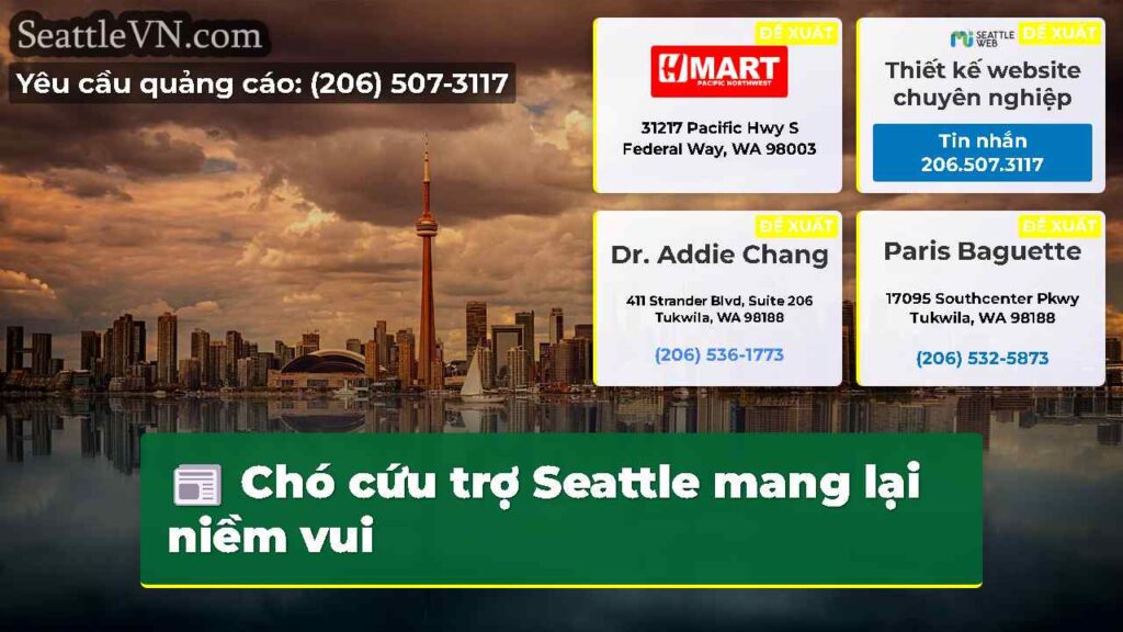 Chó cứu trợ Seattle mang lại niềm vui
