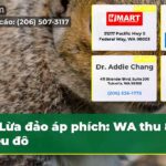 Lừa đảo áp phích WA thu 8 triệu đô