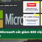 Microsoft cắt giảm 830 việc làm
