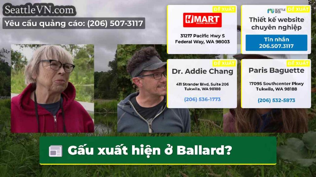 Gấu xuất hiện ở Ballard?