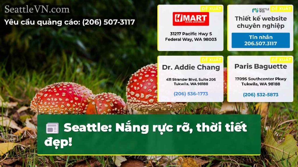 Seattle: Nắng rực rỡ, thời tiết đẹp!