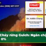 Cháy rừng Gulch Ngăn chặn đạt 0%