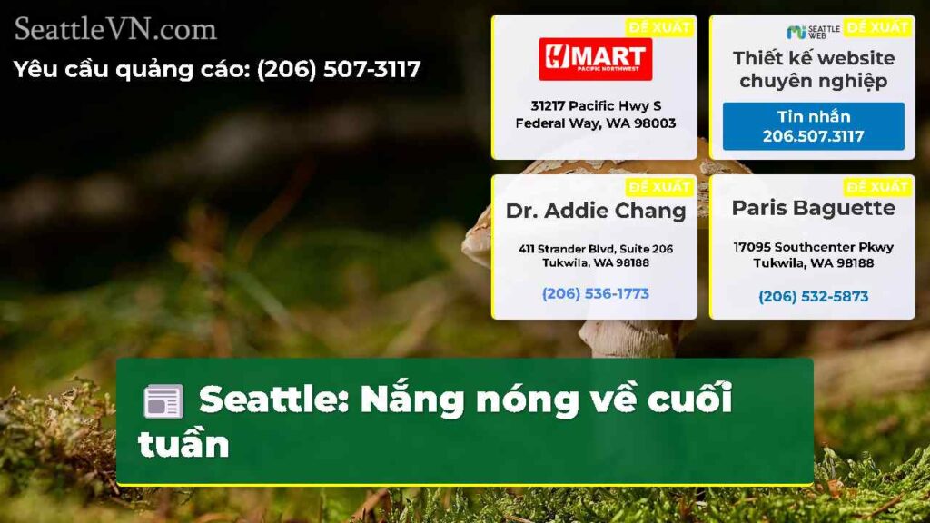 Seattle: Nắng nóng về cuối tuần