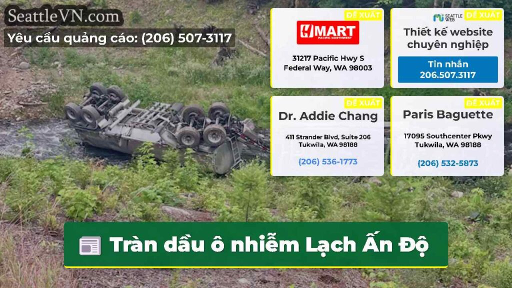 Tràn dầu ô nhiễm Lạch Ấn Độ
