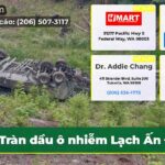 Tràn dầu ô nhiễm Lạch Ấn Độ