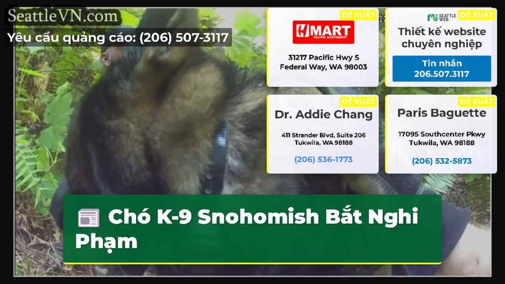 Chó K-9 Snohomish Bắt Nghi Phạm