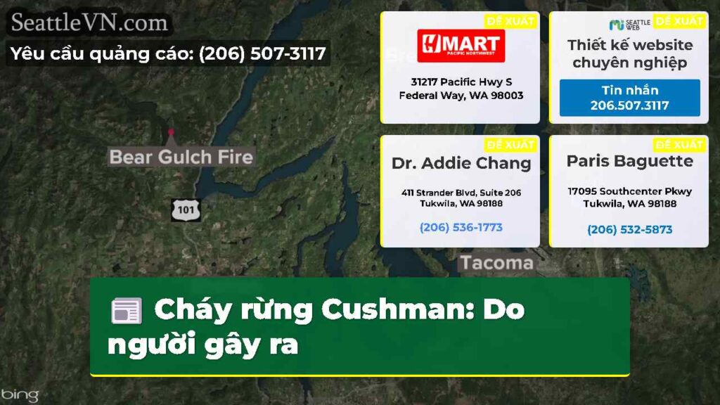 Cháy rừng Cushman: Do người gây ra