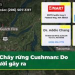 Cháy rừng Cushman Do người gây ra
