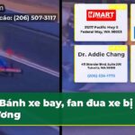 Bánh xe bay fan đua xe bị thương