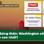 Sóng thần Washington số nào cao nhất?