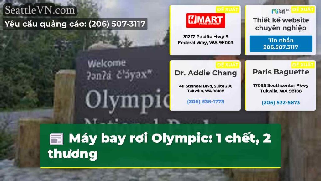 Máy bay rơi Olympic: 1 chết, 2 thương
