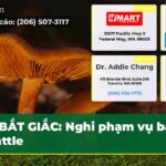 BẮT GIẮC Nghi phạm vụ bắn Seattle
