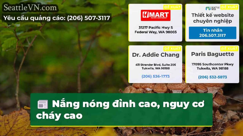 Nắng nóng đỉnh cao, nguy cơ cháy cao