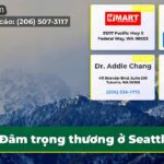 Đâm trọng thương ở Seattle