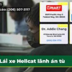 Lái xe Hellcat lãnh án tù