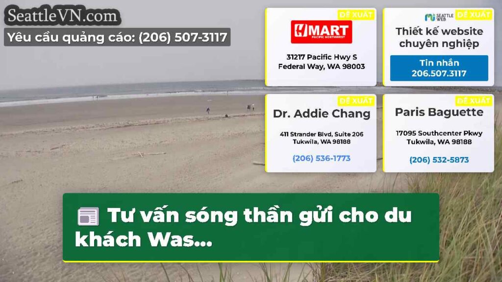 Tư vấn sóng thần gửi cho du khách Was...