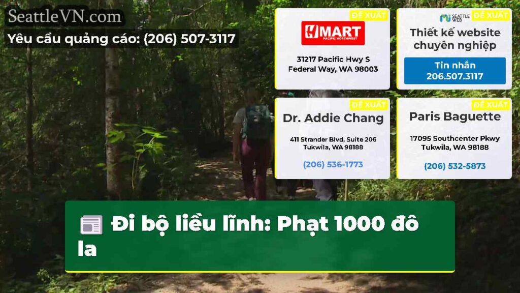 Đi bộ liều lĩnh: Phạt 1000 đô la