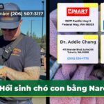 Hồi sinh chó con bằng Narcan