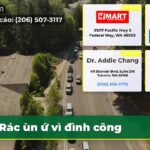 Rác ùn ứ vì đình công