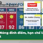 Nóng đỉnh điểm hạn chế làm mát