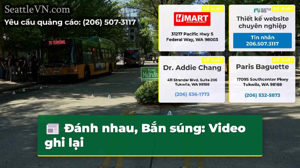 Đánh nhau, Bắn súng: Video ghi lại
